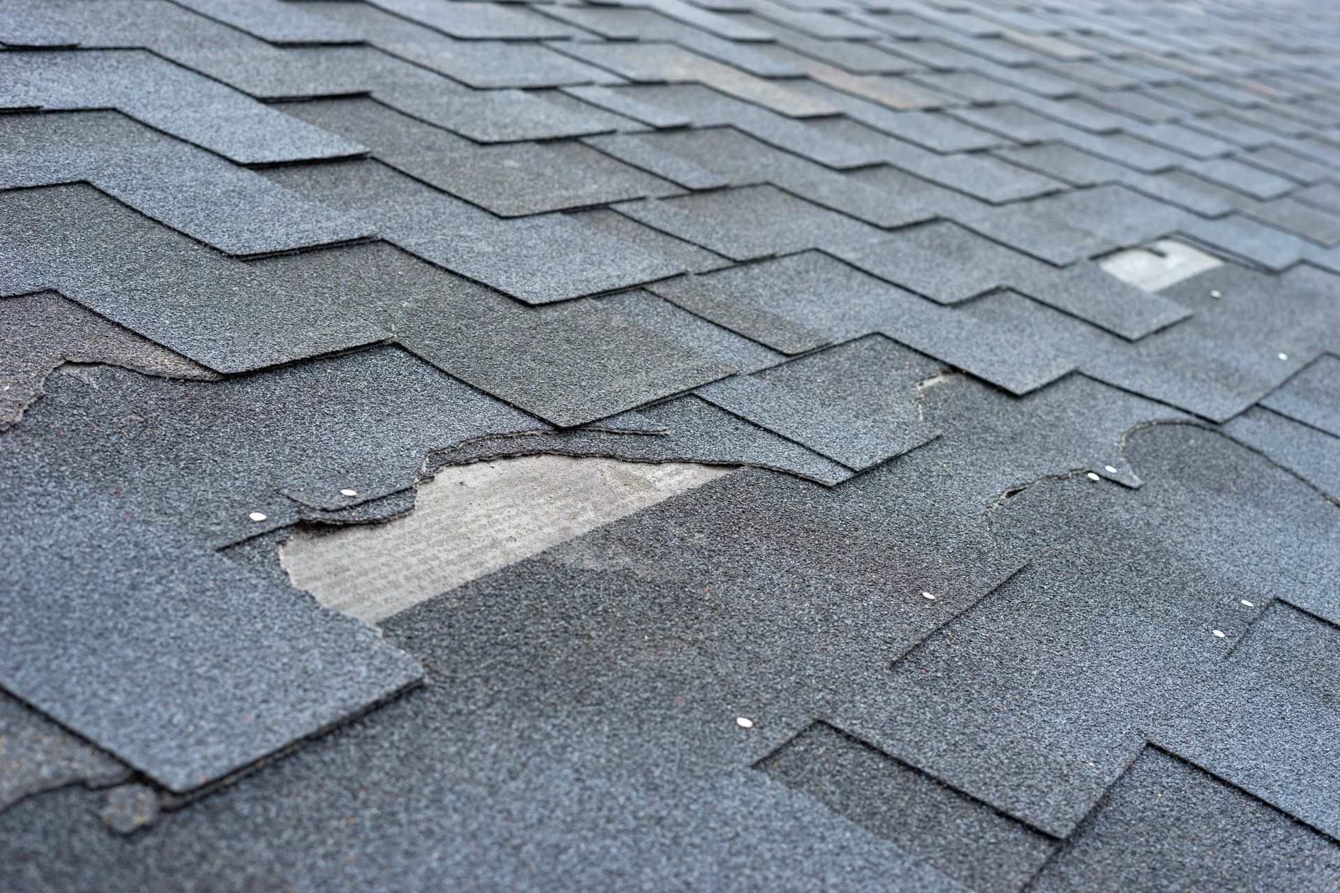 Damaged asphalt shingles close up